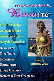 A Diving Vacation Guide to Bonaire