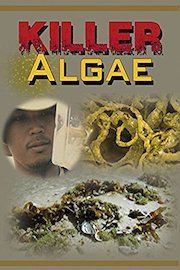 Killer Algae: The Poisoning Of Our Seas