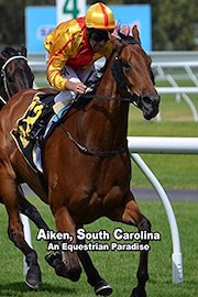 Aiken, South Carolina: An Equestrian Paradise