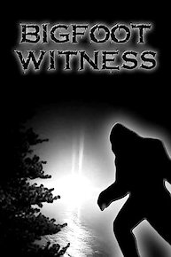 Bigfoot Witness