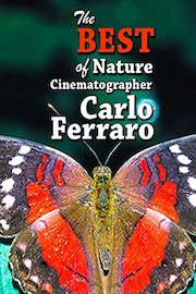The Best of Nature Cinematographer Carlo Ferraro