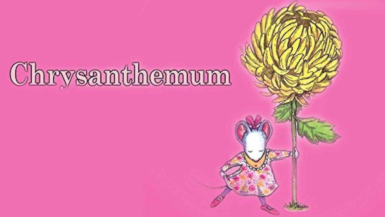 Chrysanthemum