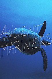 Ancient Mariners: The Sea Turtle Story