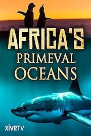 Africa's Primeval Oceans