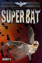 Super Bat