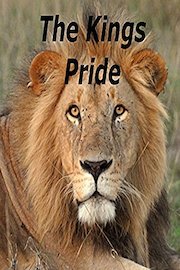 The Kings Pride
