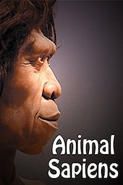 Animal Sapiens