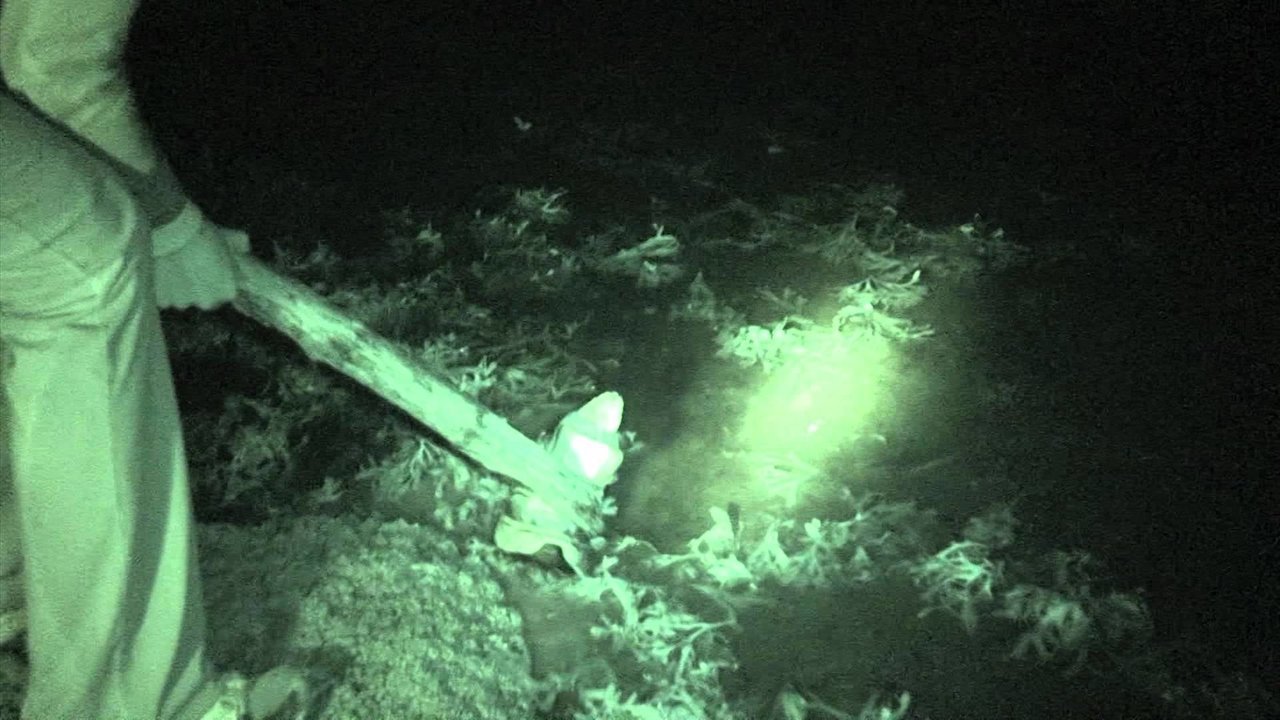 Severed Footage - A Paranormal Thriller