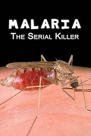 Malaria: The Serial Killer