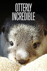 Otterly Incredible