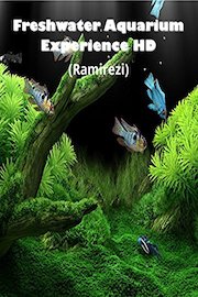 Freshwater Aquarium Experience HD