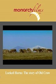 LOCKED HORNS: The Fate of Old Crow