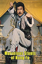 Marvelous Stunts Of Kung Fu