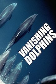 Vanishing Dolphins