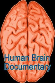 Human Brain Documentary