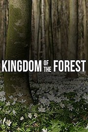 Kingdom of the Forest