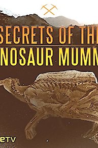 Secrets of the Dinosaur Mummy