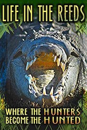 Life in the Reeds: Where the Hunters Become the Hunted