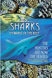 Sharks: Stewards of the Reef