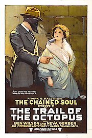 The Trail of the Octopus -5