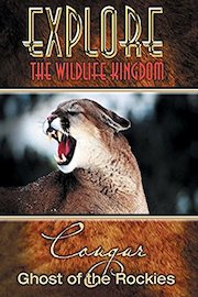 Explore The Wildlife Kingdom: Cougar - Ghost of the Rockies