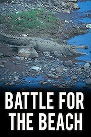 Battle for the Beach