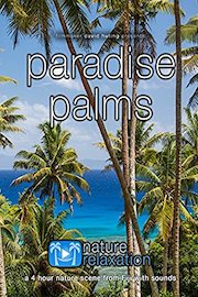 Paradise Palms: a Four Hour Long Fiji Nature Scene with Sounds