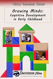 Growing Minds: Cognitive Development in Early Childhood