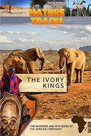 Nature Tracks - The Ivory Kings