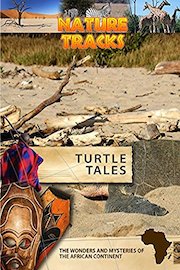 Nature Tracks - Turtle Tales