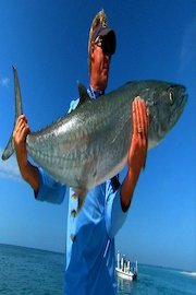Addictive Fishing - Boca Blitz