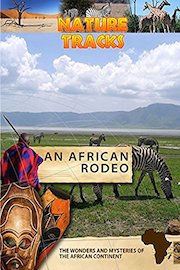Nature Tracks - An African Rodeo