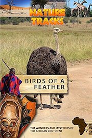 Nature Tracks - Birds of a Feather