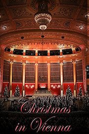 Christmas in Vienna