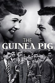 The Guinea Pig