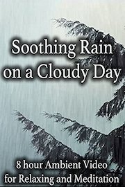 Soothing Rain on a Cloudy Day 8 Hour Ambient Video for Relaxing and Meditation