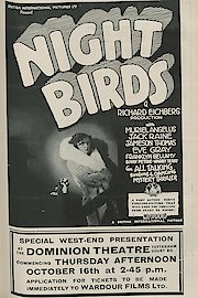 Night Birds