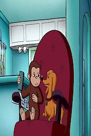 Night of the Weiner Dog! / Animal Trackers