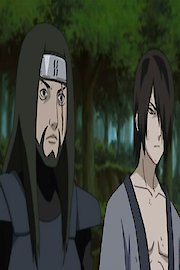 Rogue Ninja's Past