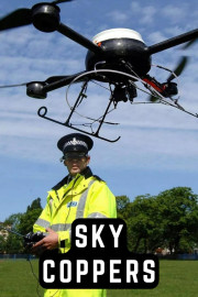 Sky Coppers