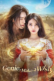 Genie, Make a Wish