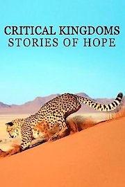 Critical Kingdoms: Stories of Hope