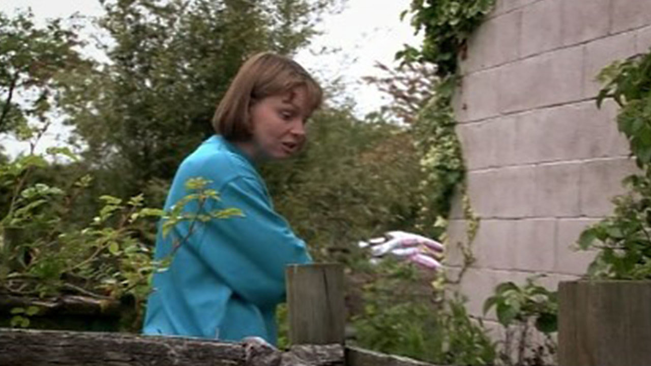 Build A New Life In The Country Revisits