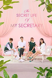 The Secret Life of My Secretary