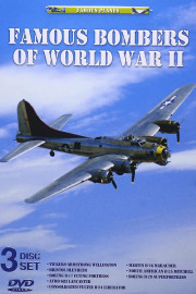 Famous Bombers of WWII