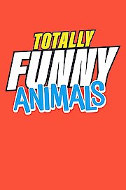 Totally Funny Animals