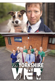 Yorkshire Vet