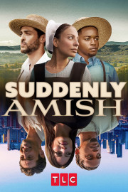 Suddenly Amish