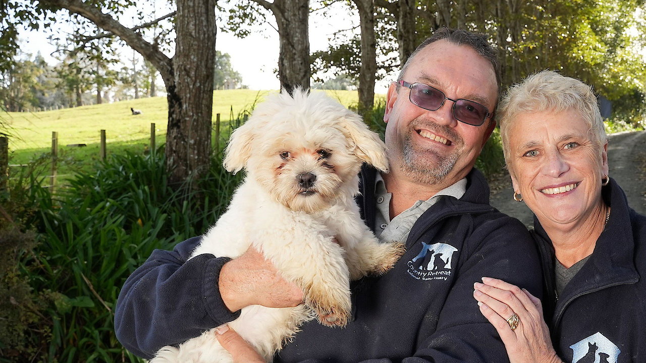 The Dog House New Zealand