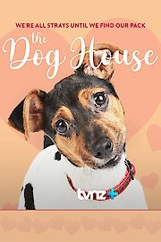 The Dog House New Zealand